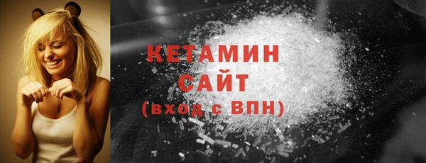 шишки Ельня