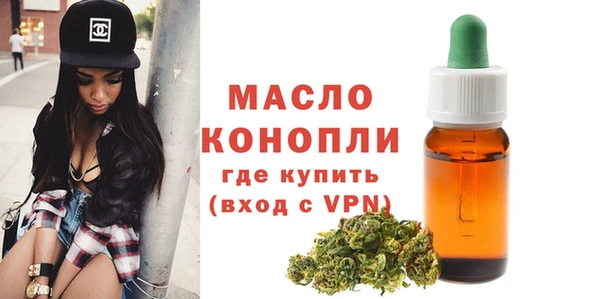 шишки Ельня