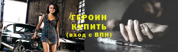 шишки Ельня