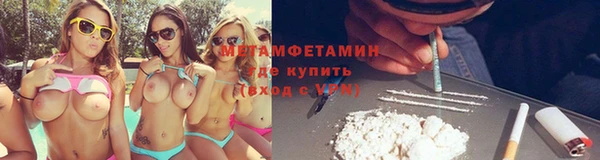 шишки Ельня