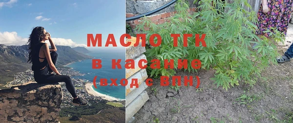 шишки Ельня