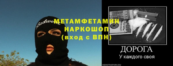 шишки Ельня