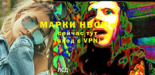 шишки Ельня