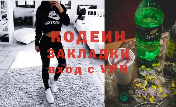 шишки Ельня