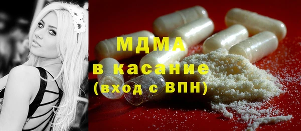 шишки Ельня