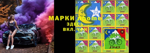 шишки Ельня
