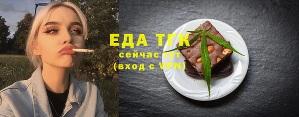шишки Ельня