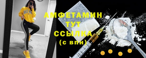 шишки Ельня