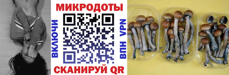 Псилоцибиновые грибы GOLDEN TEACHER  мега сайт  Зеленодольск 