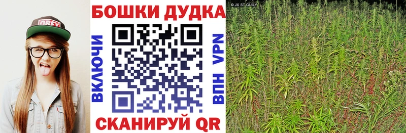 Бошки марихуана сатива  Зеленодольск 